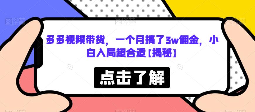 多多视频带货，一个月搞了3w佣金，小白入局超合适【揭秘】-网创资源吧