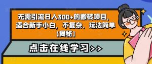 无需引流日入300+的搬砖项目，适合新手小白，不复杂、玩法简单【揭秘】-网创资源吧