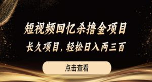 短视频回忆杀撸金项目，长久项目，轻松日入两三张【揭秘】-网创资源吧