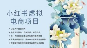 小红书虚拟电商从0到1,让你从小白到精英(20节实操课程)-网创资源吧