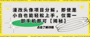 漫改头像项目分解，即使是小白也能轻松上手，仅需一部手机即可【揭秘】-网创资源吧