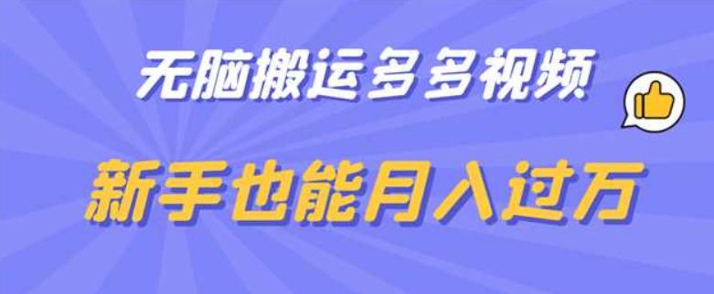 无脑搬运多多视频，新手也能月入过万【揭秘】-网创资源吧
