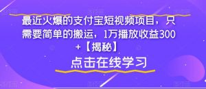 最近火爆的支付宝短视频项目，只需要简单的搬运，1万播放收益300+【揭秘】-网创资源吧