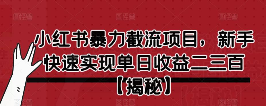 小红书暴力截流项目，新手快速实现单日收益二三百【仅揭秘】-网创资源吧