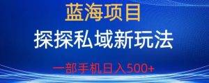 蓝海项目,探探私域新玩法,一部手机日入500+很轻松【揭秘】-网创资源吧