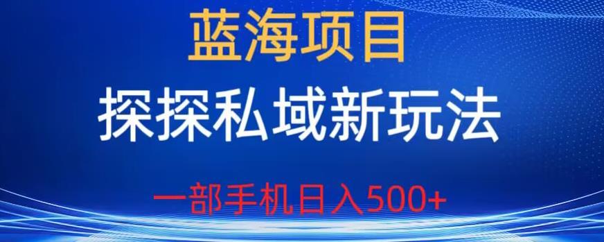 蓝海项目，探探私域新玩法，一部手机日入500+很轻松【揭秘】-网创资源吧