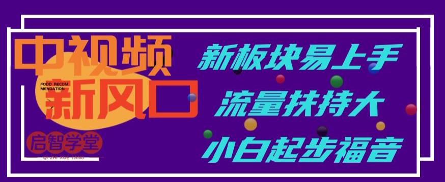 中视频新风口，新板块易上手，流量扶持大，小白起步福音【揭秘】-网创资源吧