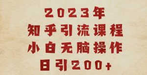 2023知乎引流课程,小白无脑操作日引200+【揭秘】-网创资源吧