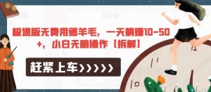 极速版无费用薅羊毛,一天躺赚10-50+,小白无脑操作【拆解】-网创资源吧