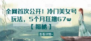 全网首次公开！冷门美女号玩法，5个月狂撸67w【揭秘】-网创资源吧