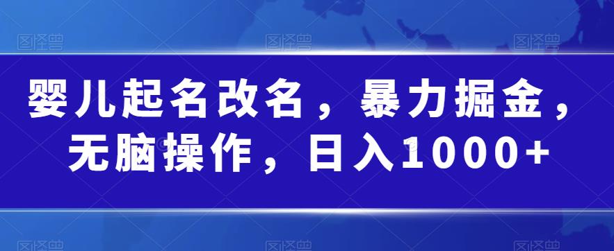 婴儿起名改名，暴力掘金，无脑操作，日入1000+【揭秘】-网创资源吧