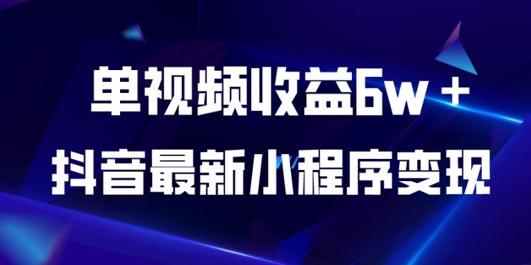 抖音最新小程序变现项目，单视频收益6w＋，小白可做【揭秘】-网创资源吧