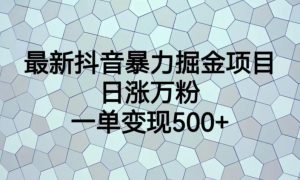 最新抖音暴力掘金项目，日涨万粉，一单变现500+【揭秘】-网创资源吧