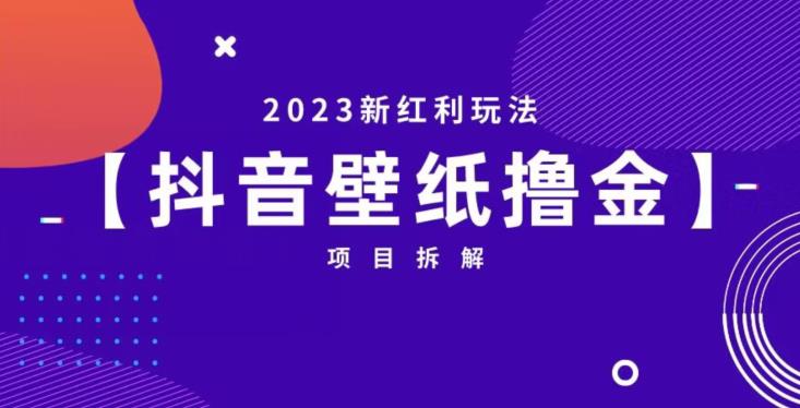 抖音壁纸小程序创作者撸金项目，2023新红利玩法【项目拆解】-网创资源吧