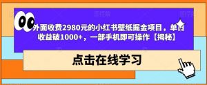 外面收费2980元的小红书壁纸掘金项目,单日收益破1000+,一部手机即可操作【揭秘】-网创资源吧