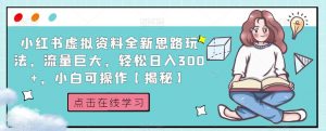 小红书虚拟资料全新思路玩法,流量巨大,轻松日入300+,小白可操作【揭秘】-网创资源吧