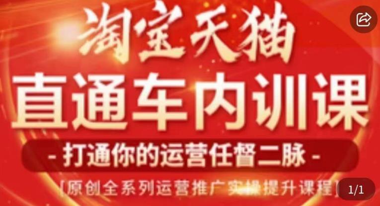 天问电商·2023淘宝天猫直通车内训课，零基础学起直通车运营实操课程-网创资源吧