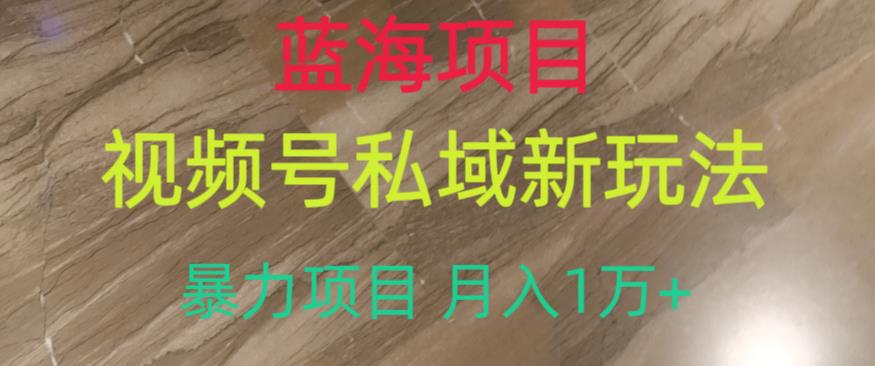 蓝海项目，视频号私域新玩法，暴力项目月入1万+【揭秘】-网创资源吧