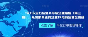 ‎TikTok全方位通关专项企业陪跑【第三期】，从0到1真正的企业TK电商运营全流程-网创资源吧
