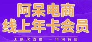 阿呆电商线上年会员,阿呆电商干货分享(更新中)-网创资源吧
