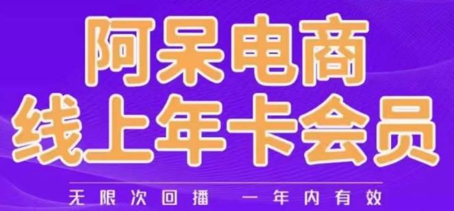 阿呆电商线上年会员，阿呆电商干货分享（更新中）-网创资源吧