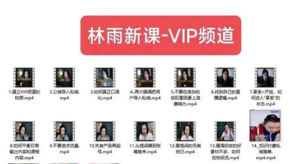 林雨新课VIP频道，玩赚私域/朋友圈/社群-网创资源吧