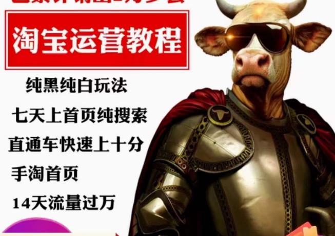猫老师·淘系算法逆向解密，​纯黑纯白玩法，七天上首页纯搜索，手淘首页14天流量过万-网创资源吧