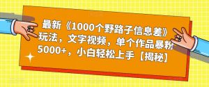 最新《1000个野路子信息差》玩法，文字视频，单个作品暴粉5000+，小白轻松上手【揭秘】-网创资源吧