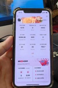 超级蓝海赛道保姆级教学,小红书无货源,无需实拍,如何做到日入1000+【揭秘】-网创资源吧