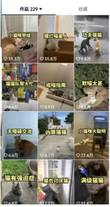 拆解：抖音盘点类中视频变现副业项目，视频版一条龙大解析分享给你-网创资源吧