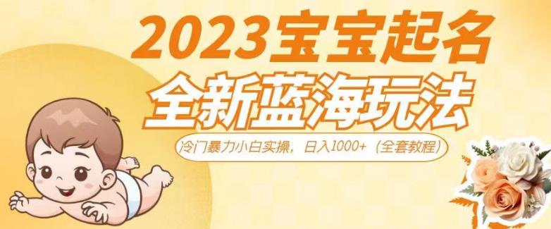 2023宝宝起名全新蓝海玩法，冷门暴力小白实操，日入1000+（全套教程）【揭秘】-网创资源吧