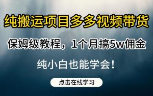 纯搬运项目多多视频带货保姆级教程，1个月搞5w佣金，纯小白也能学会【揭秘】-网创资源吧