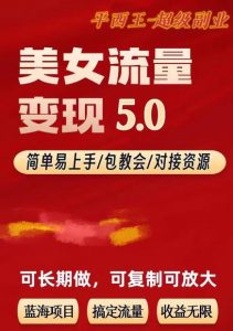 TK美女短视频变现项目无限复制（升级版），全网最高性价比项目【揭秘】-网创资源吧