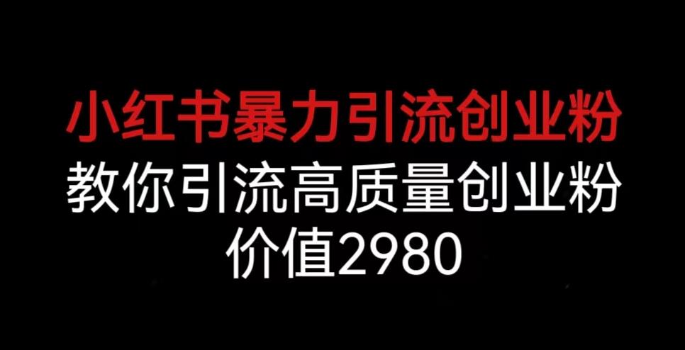 小红书暴力引流创业粉，教你引流高质量创业粉，价值2980【揭秘】-网创资源吧