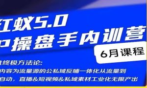 红蚁5.0IP操盘手内训营，IP操盘终极方法论-网创资源吧