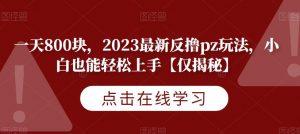 一天800块，2023最新反撸pz玩法，小白也能轻松上手【仅揭秘】-网创资源吧