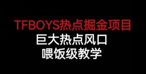 TFBOYS热点掘金项目，巨大热点风口，喂饭级教学-网创资源吧