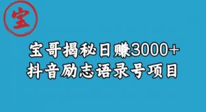 宝哥揭秘日赚3000+抖音励志语录号短视频变现项目-网创资源吧