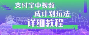 避坑玩法:支付宝中视频分成计划玩法实操详解【揭秘】-网创资源吧