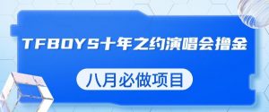 最新蓝海项目,靠最近非常火的TFBOYS十年之约演唱会流量掘金,八月必做的项目【揭秘】-网创资源吧