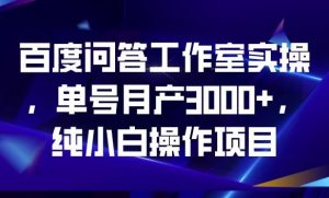 百度问答工作室实操,单号月产3000+,纯小白操作项目【揭秘】-网创资源吧