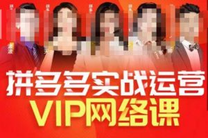 推易拼多多VIP全套直播课程，拼多多店铺实操玩法+实战玩法选款内功+直通车高阶等-网创资源吧