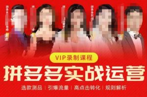 2023推易拼多多实战运营,选款测品、引爆流量、高点击转化、规则解析-网创资源吧