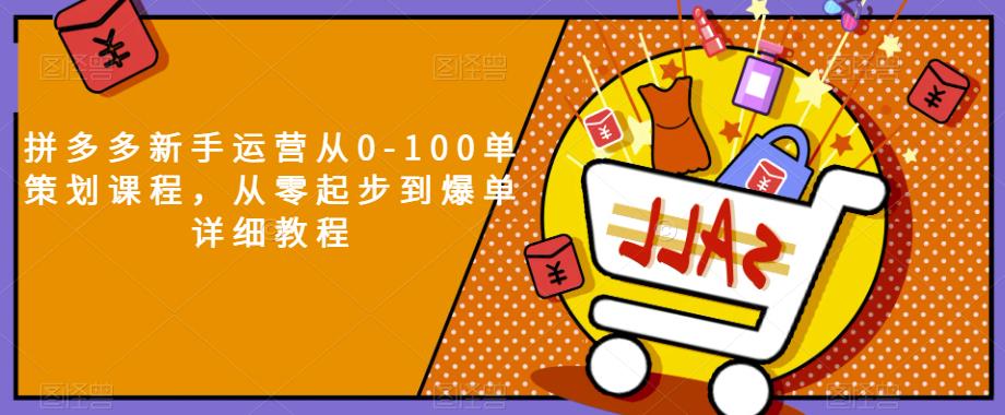 拼多多新手运营从0-100单策划课程，从零起步到爆单详细教程-网创资源吧