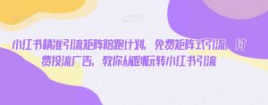 小红书精准引流矩阵陪跑计划,免费矩阵式引流,付费投流广告,教你从0到1玩转小红书引流-网创资源吧