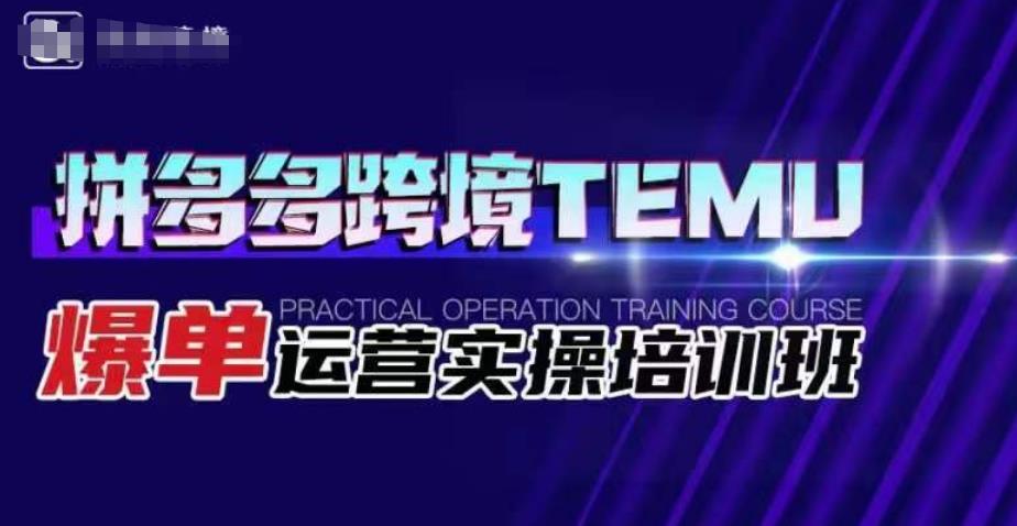 拼多多跨境TEMU爆单运营实操培训班，海外拼多多的选品、运营、爆单-网创资源吧