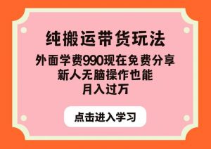 纯搬运带货玩法,外面学费990现在免费分享,新人无脑操作也能月入过万【揭秘】-网创资源吧