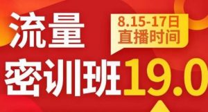秋秋线上流量密训班19.0，打通流量关卡，线上也能实战流量破局-网创资源吧