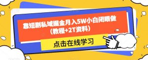 靠短剧私域掘金月入5W小白闭眼做（教程+2T资料）-网创资源吧