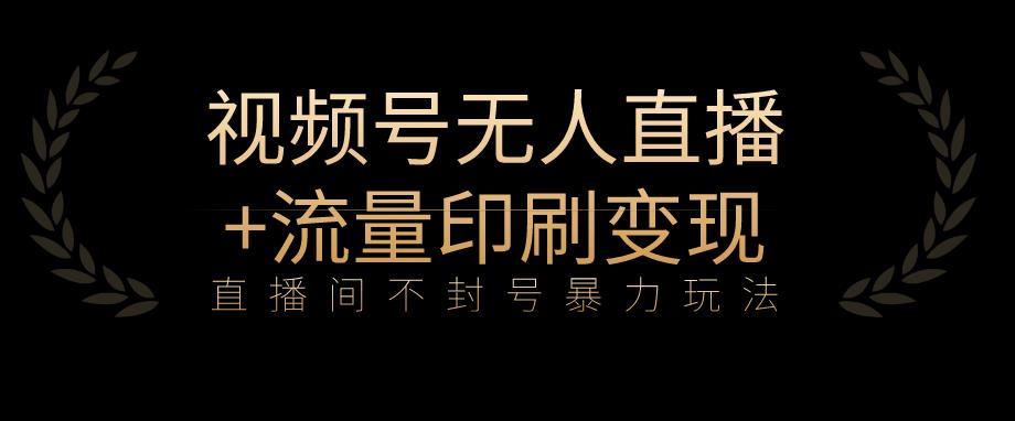 全网首发视频号不封号无人直播暴利玩法+流量印刷机变现，日入1000+【揭秘】-网创资源吧